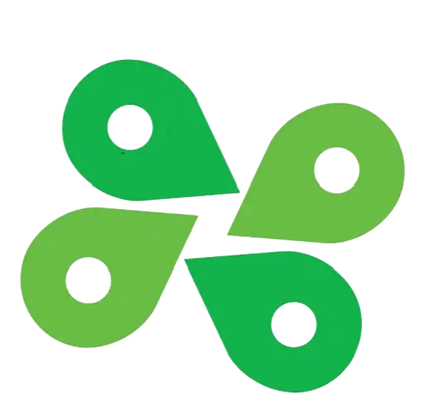 Website icon for wapkingtechnologies.com