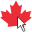 Website icon for websites.ca