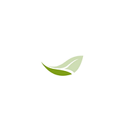 Website icon for wellmore.org