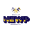 Website icon for whatsupnewp.com