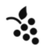 Website icon for wineindustryinsight.com
