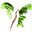 Website icon for wyenet.co.uk