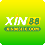 Website icon for xin88st10.com