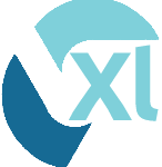 Website icon for xlquant.net