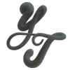 Website icon for yarzatwins.com