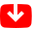 Website icon for yt1s.biz