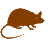 Website icon for zgp.org